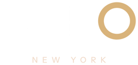 CLEO